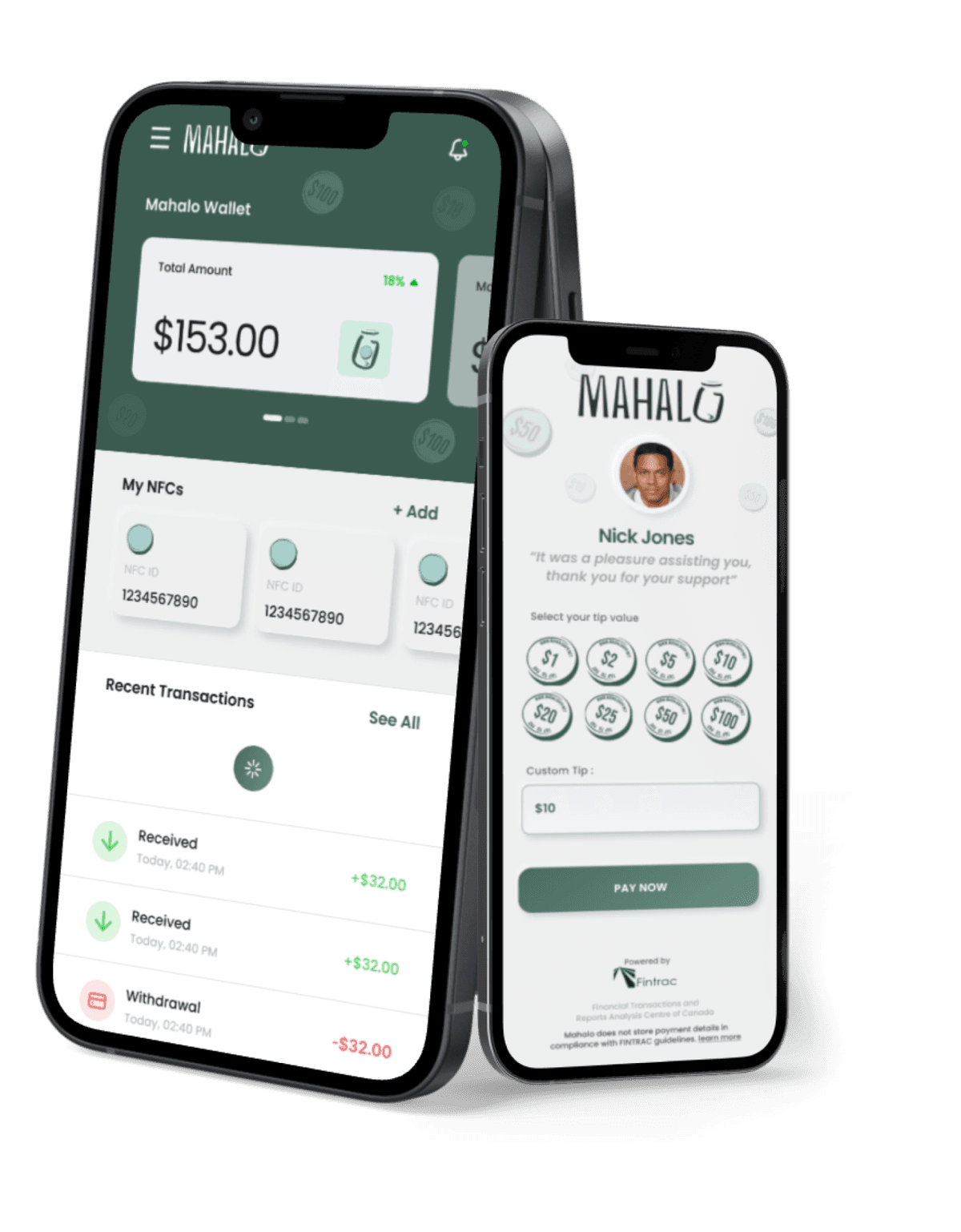 Mahalo App Interface